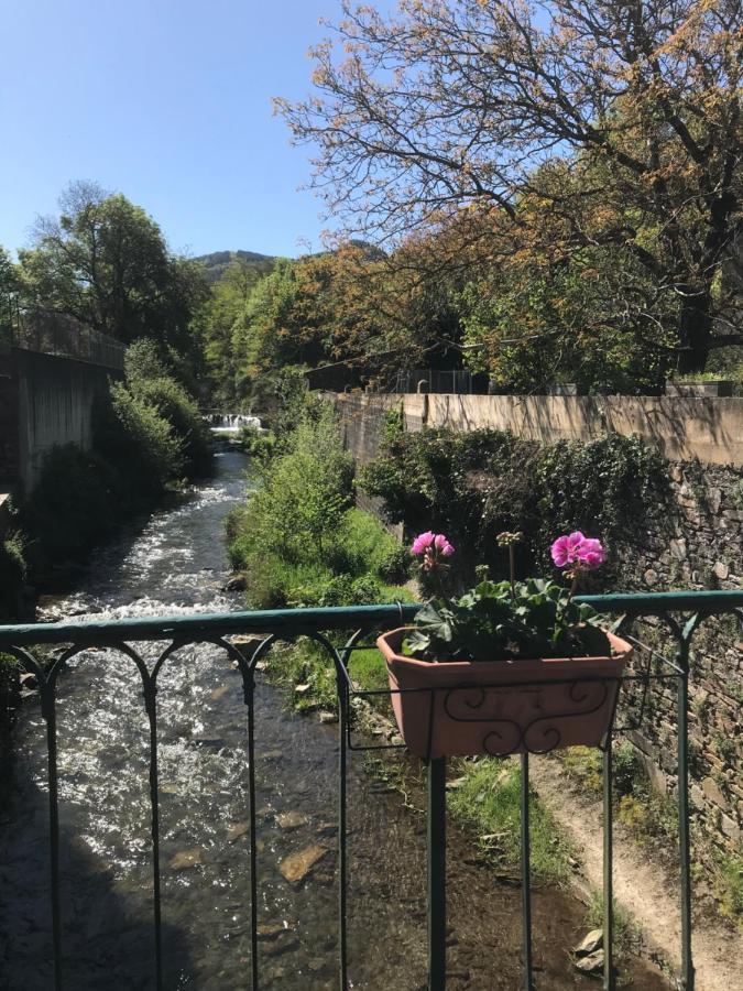 Residence Le Petit Paradis Labastide-Rouairoux Zewnętrze zdjęcie