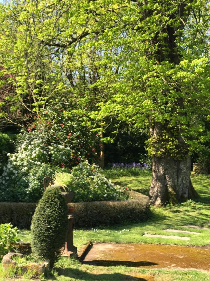 Residence Le Petit Paradis Labastide-Rouairoux Zewnętrze zdjęcie