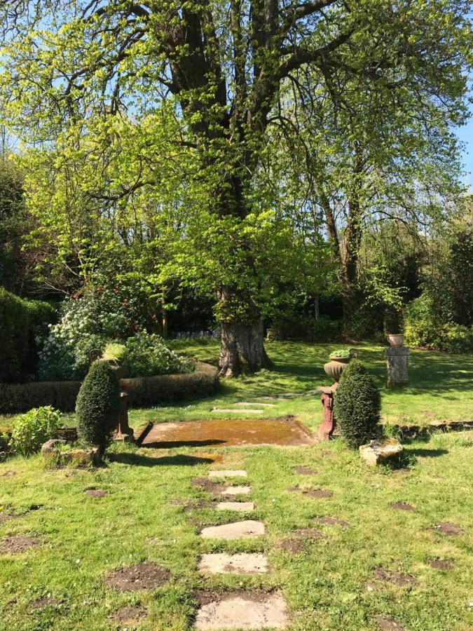 Residence Le Petit Paradis Labastide-Rouairoux Zewnętrze zdjęcie